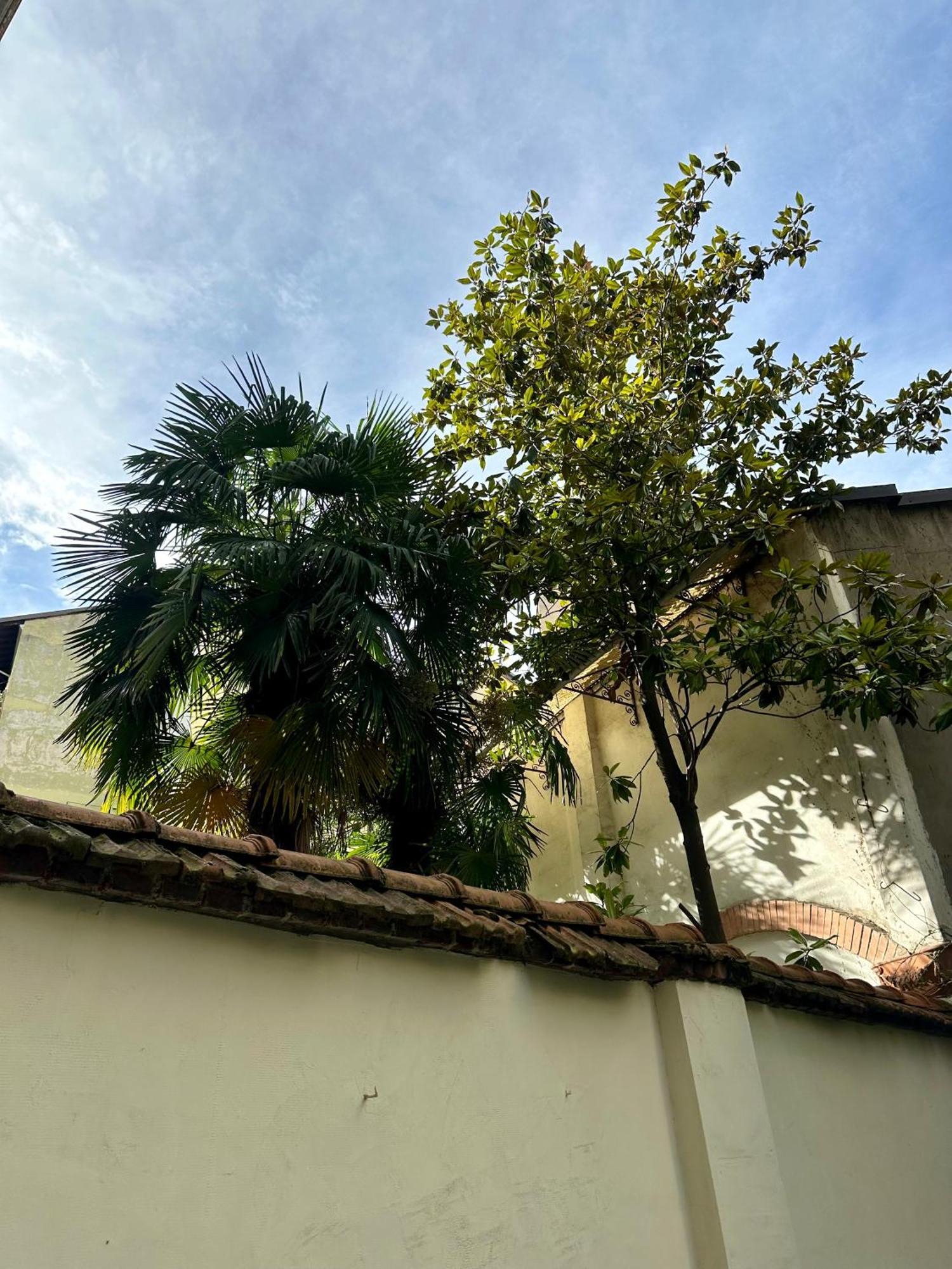 Lr Deluxe Apartments - Porta Venezia - Bilocale Con Giardino Privato Milán Exteriér fotografie