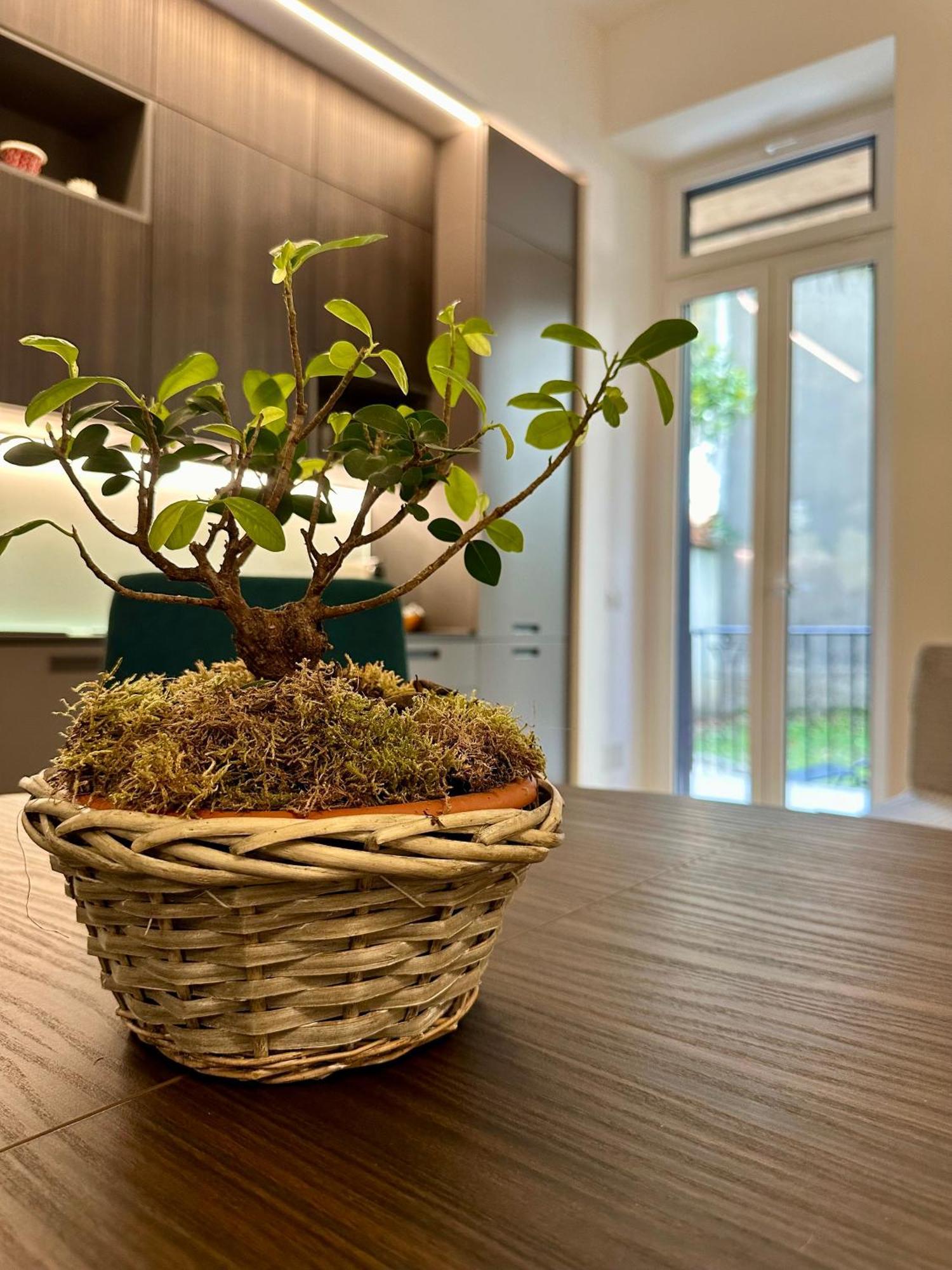 Lr Deluxe Apartments - Porta Venezia - Bilocale Con Giardino Privato Milán Exteriér fotografie